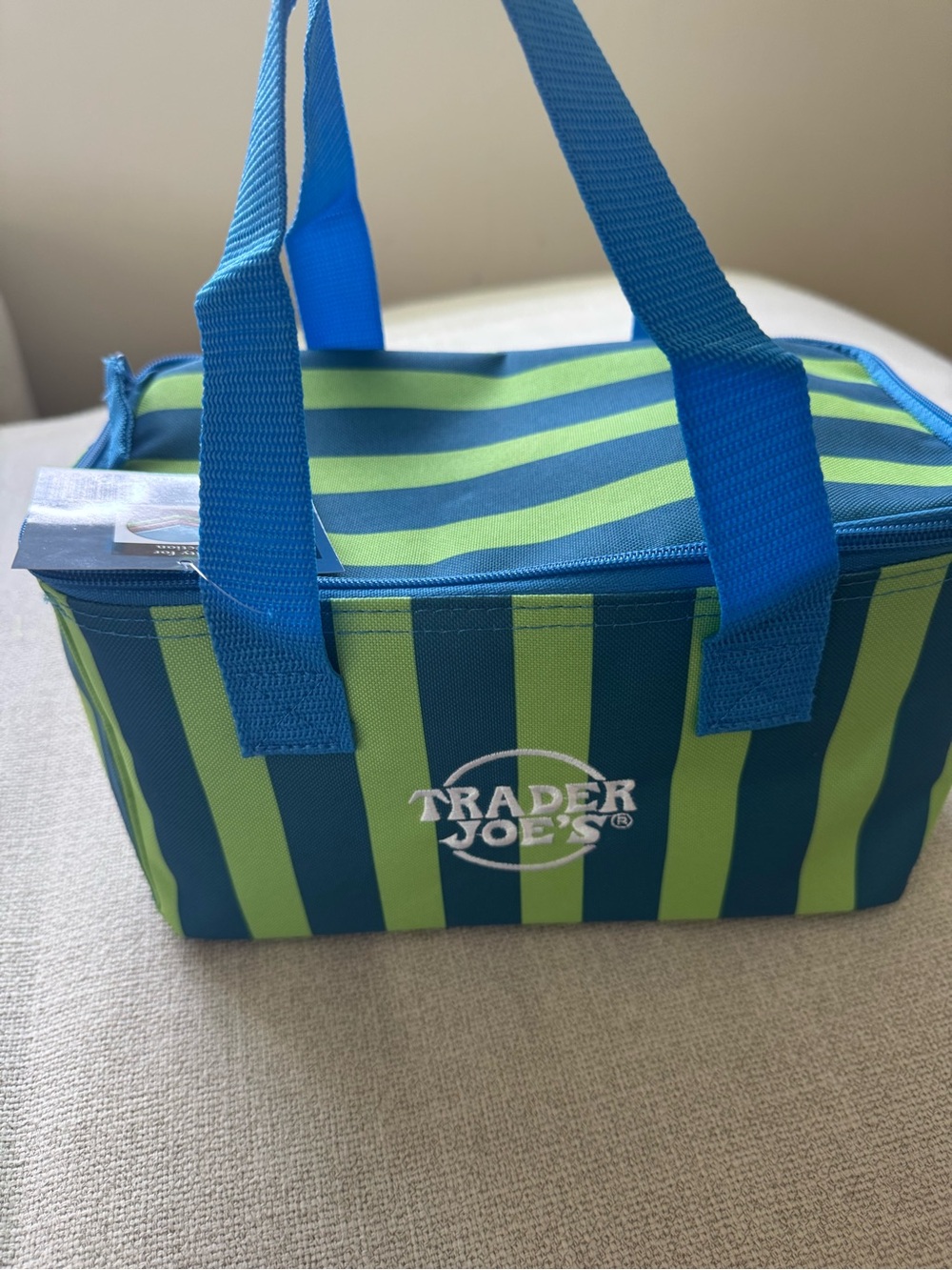 Trader Joe's Blue & Lime Stripe Mini Tote Bag